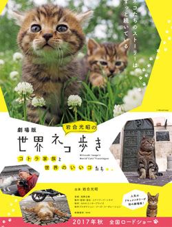 岩合光昭的猫步走世界剧照