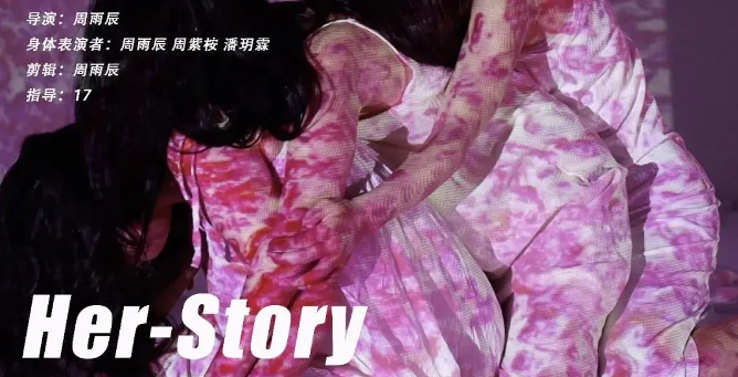 Her Story剧照