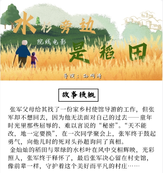水杉旁边是稻田