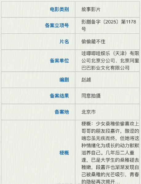 偷偷藏不住劇照