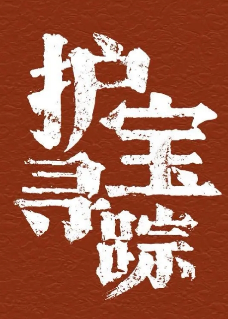 护宝寻踪