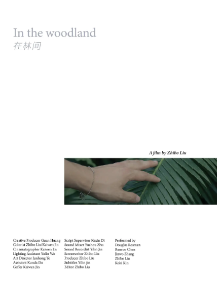 在林间