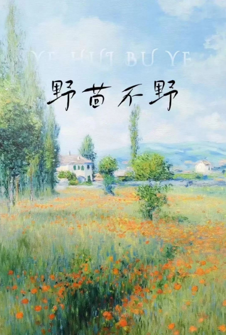野茴不野