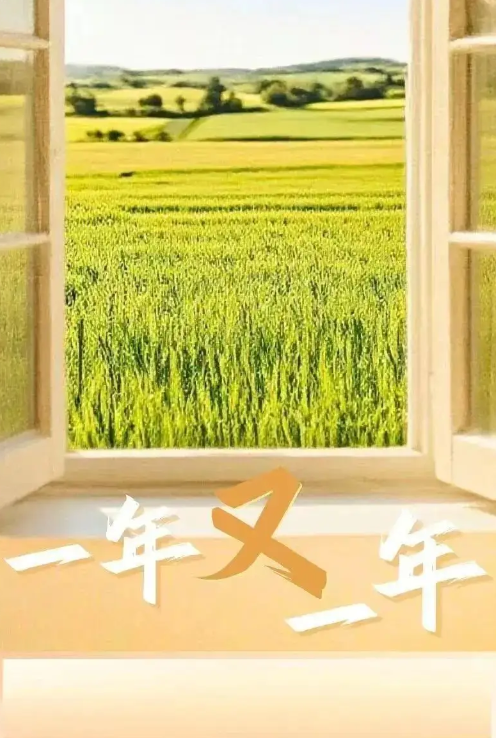 一年又一年