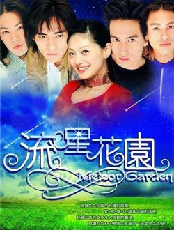 流星花园(2001年台剧)