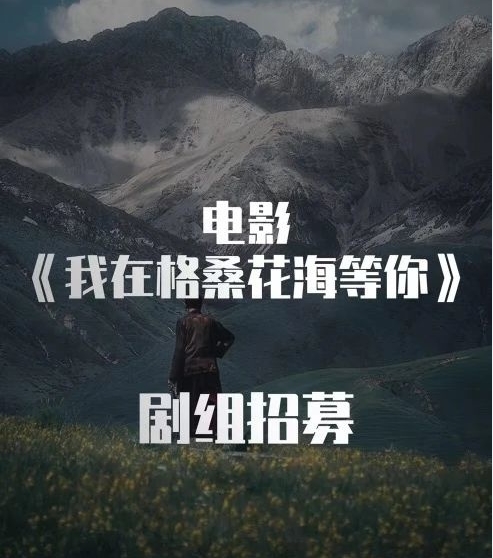 我在格桑花海等你剧照