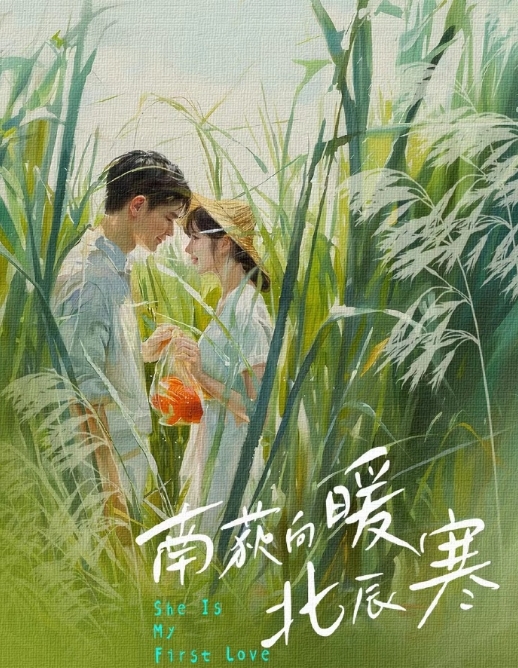 南荻向暖北辰寒