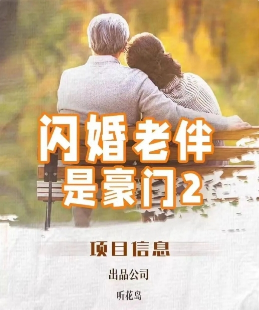 闪婚老伴是豪门2