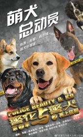 警花与警犬 第二季