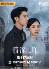 情深几许