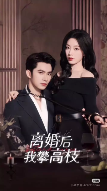 离婚后我攀高枝