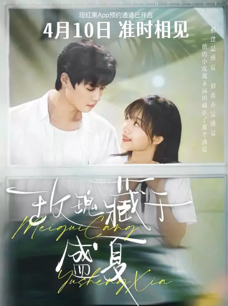 玫瑰藏于盛夏