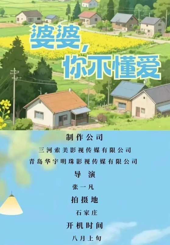 婆婆,你不懂爱