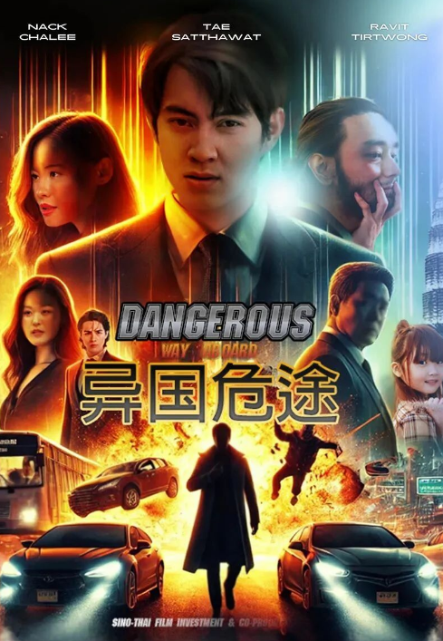 异国危途