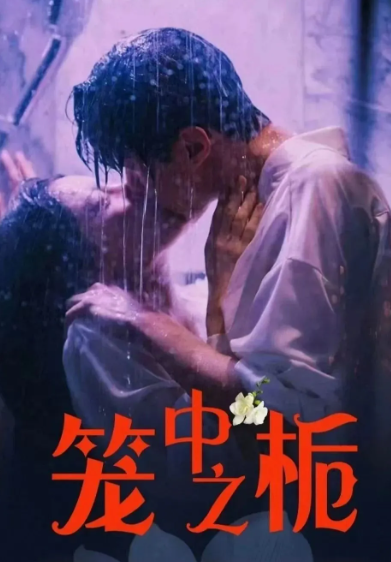 笼中之栀