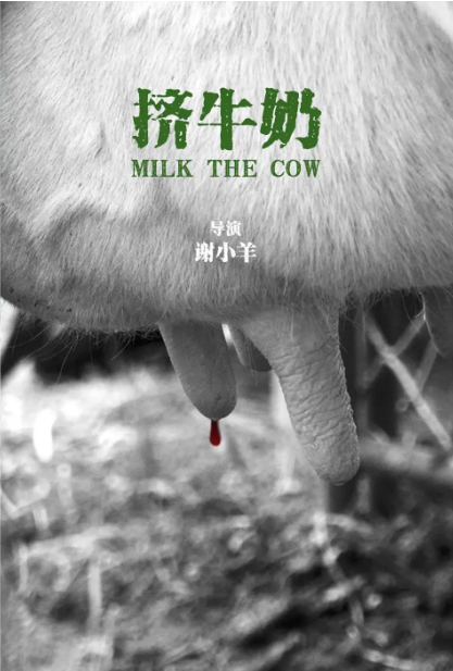 挤牛奶