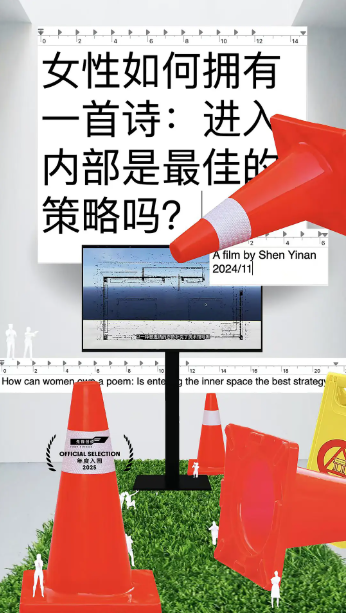 女性如何拥有一首诗: 进入内部是最佳的策略吗?