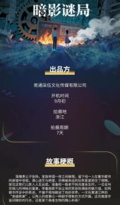 暗影谜局