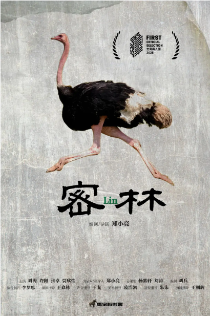 密林