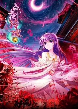 白夜玲珑