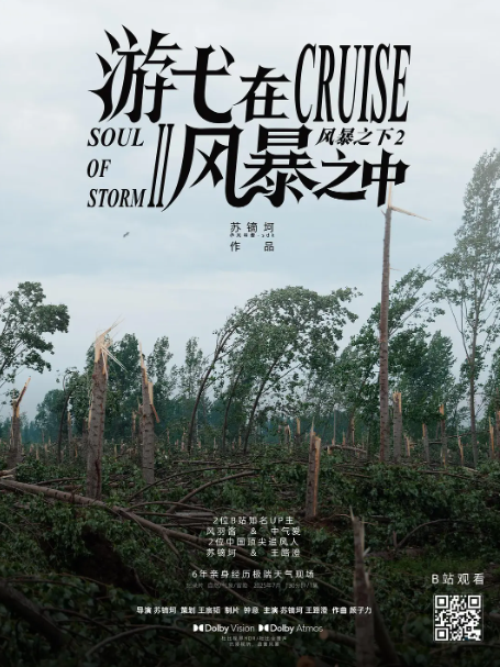 游弋在风暴之中