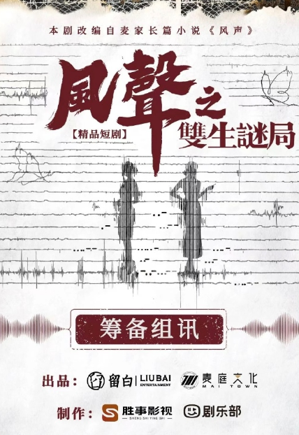 风声之双生迷局