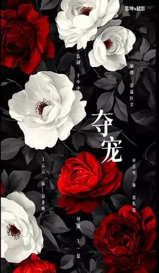 夺宠