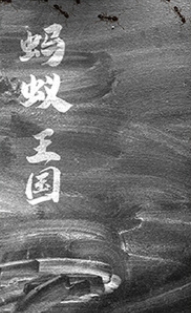 蚂蚁王国