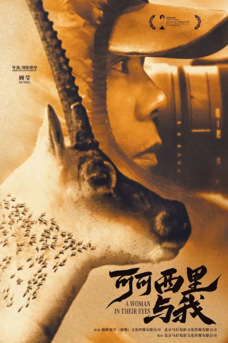 可可西里与我