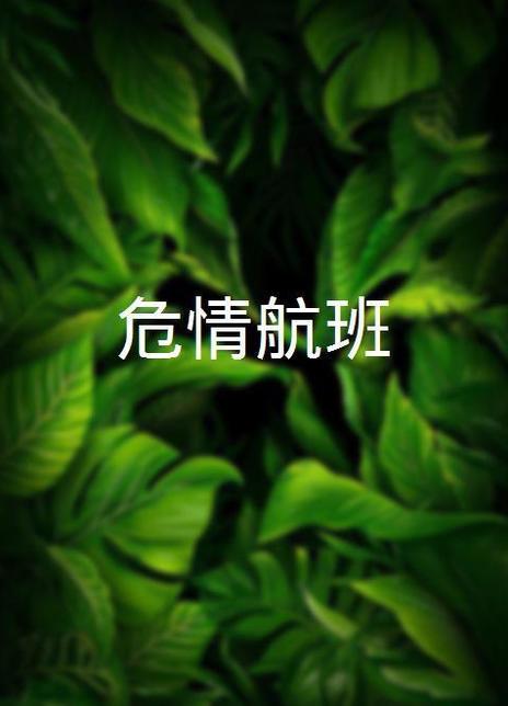 危情航班